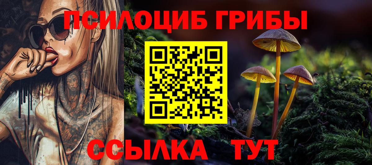 Псилоцибиновые грибы Psilocybe Лабинск